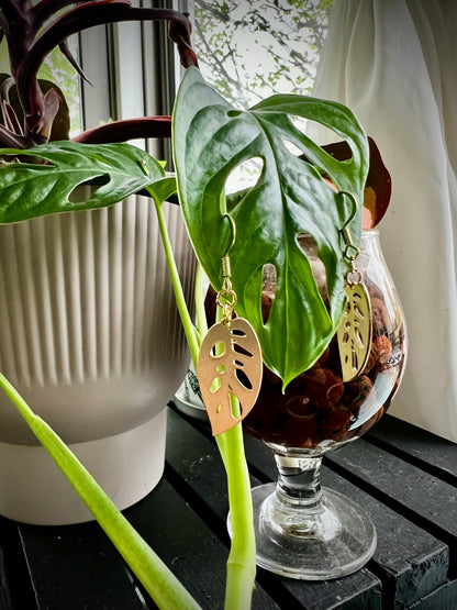 Laser cut brass Monstera adansonii dangle earrings with brushed finish from Finger Lakes Laser Plant Lover’s Collection