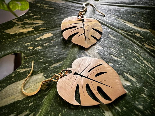 Laser cut brass Monstera Deliciosa leaf dangle earrings in brushed or polished finish, lightweight and handmade.