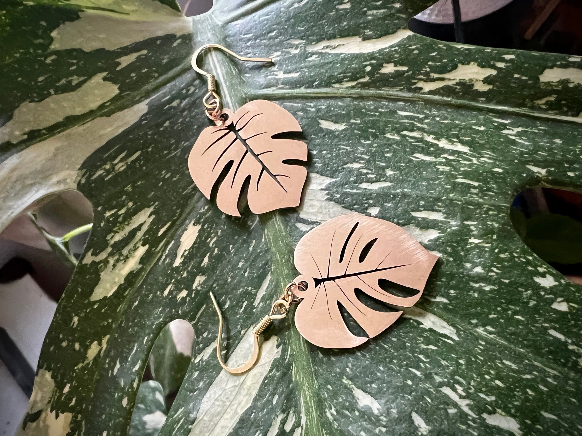 Laser cut brass Monstera Deliciosa leaf dangle earrings in brushed and polished finishes